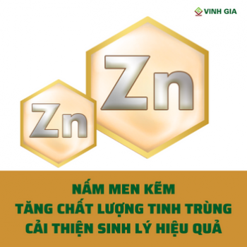 Tăng chất lượng tinh trùng và cải thiện sinh lý hiệu quả với nấm men kẽm