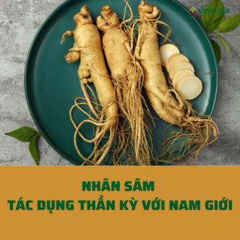 Nhân sâm và tác dụng “thần kỳ” với nam giới từ ngàn đời xưa