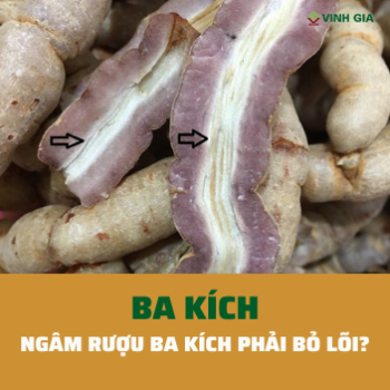 Tại sao ba kích ngâm rượu phải bỏ lõi?
