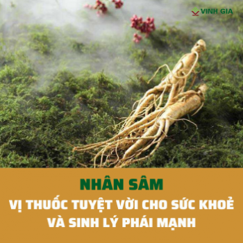 Nhân sâm- Vị thuốc tuyệt vời cho sức khỏe và sinh lý nam giới